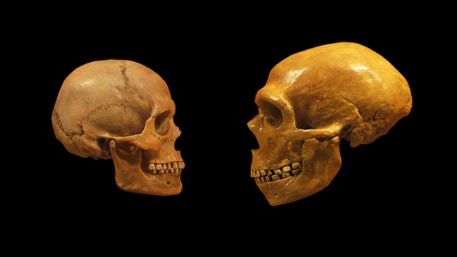 Descoberta de fóssil sugere onde homens e neandertais acasalaram