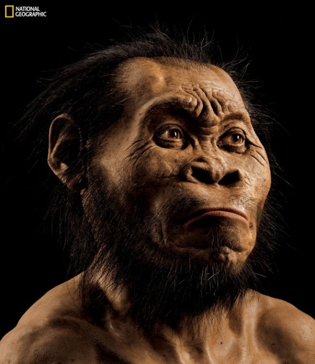 Nova espécie do gênero humano é descoberta na África do Sul
